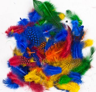 Multicolor Guinea Hen Feathers   Pack of arts and crafts feathers