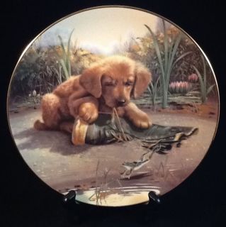   of the Day Golden Retriever Puppy Playtime Plate by Jim Lamb Hamilton