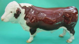 BESWICK POTTERY POLLED HEREFORD BULL GLOSS