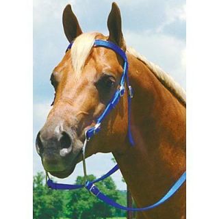 western bridle in Horse Supplies