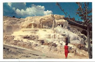 Vintage Postcard Minerva Terrace Mammoth Yellowstone National Park