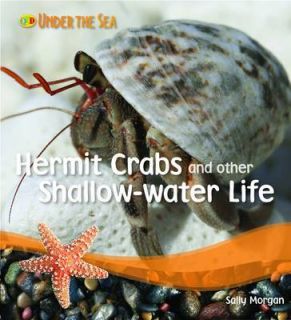 live hermit crab in Aquarium & Fish