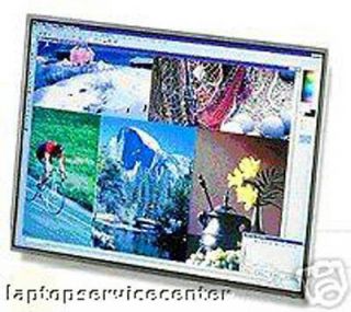 dell inspiron e1505 screen in Laptop Screens & LCD Panels