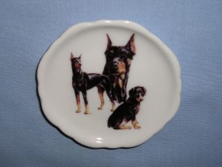 Doberman Pinscher Dog Magnet Fired Decal Porcelain E 3