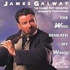 JAMES GALWAY WAYWARD WIND 1982 12 LP GOLD FLUTE