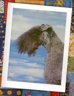 kerry blue terrier natural canvas tote bags 0995 expedited shipping