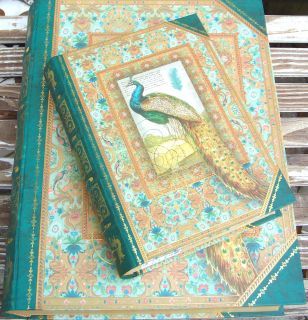 pUNCH sTUDIO Choice of Peacock Green Nesting Keepsake Book Boxes