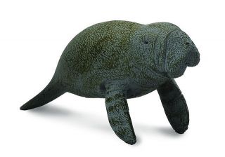 MANATEE Swimming Calf # 88456 ~endangered species Ships free w/ $25 