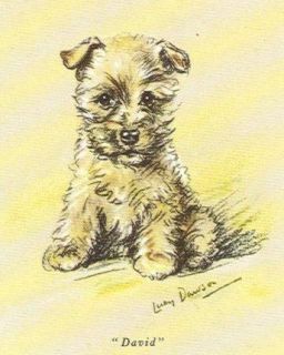 cairn terrier puppy matted dog print lucy dawson time left