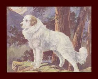   Mountain Dog, by Nina Scott Langley, vintage Print, authentic 1935
