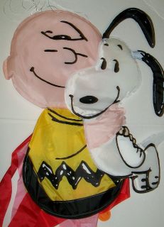 Peanuts Charlie Brown & Dog Snoopy Windsock Flag 59 Cute New Flags 