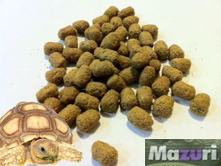 mazuri diet tortoise food 2 lb  on 