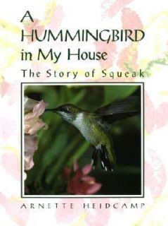 Hummingbird in My House  The Story of Squeak by Arnette H