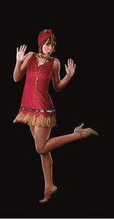 Teachers MILLIE Flapper 20s Style Dress HALLOWEEN Dance Costume SIZE 