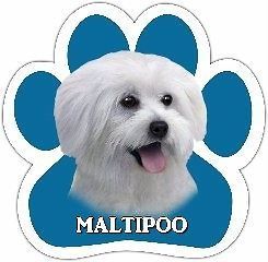Maltipoo Mixed Breed Dog Paw Vinyl Car UV Coated Magnet 13125 124 Use 