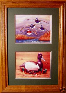 Ringneck Duck Decoy/Flying Ring Bills/Ducks Unlimited Edition/Diving 