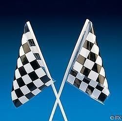12 Checkered Racing FLAGS 4 x 6 Car Nascar Race Party Favor Bags Mario 