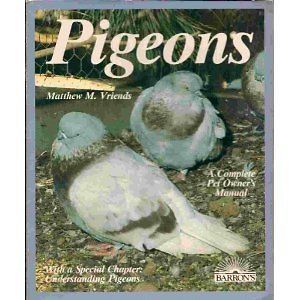 Barrons Pigeons Everything about Purchase, Care, Management, Diet 