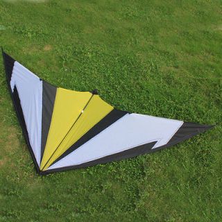 Toys & Hobbies  Outdoor Toys & Structures  Kites