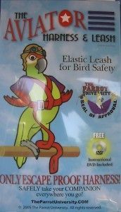 aviator harness leash large parr ot bird 