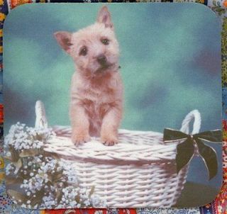 norwich terrier puppy heavy rubber backed mousepad 0620 time left