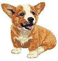 pembroke welsh corgi dog puppy cute red iron on patch