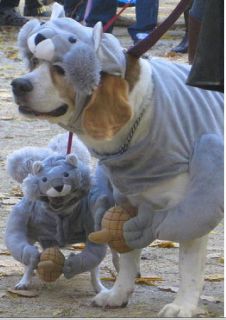 squirrel dog pet costume halloween hat coat s m l xl