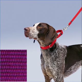 premier martingale collar dog purple medium 10 16 x 1