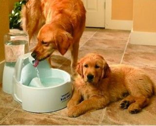   PET PLATINUM WATER FOUNTAIN BOWLS BY DRINKWELL DOG AUTO WATER BOWLS