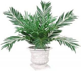   Cycas Palm Bush Silk Trees, Artificial Plants, Wedding Arrangements