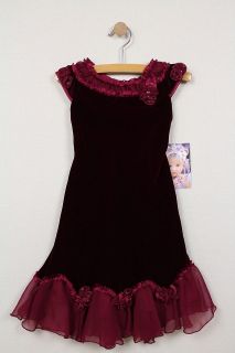 Biscotti Collection Short Sleeve Velvet Burgundy Little Girls Dress