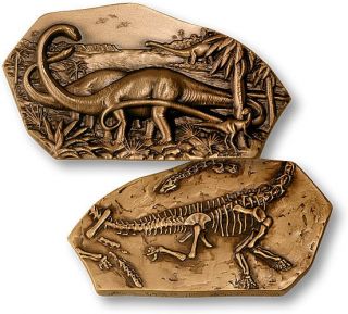 DIPLODOCUS DINOSAUR FOSSIL IN BOX SOCIETY OF MEDALISTS CHALLENGE COIN