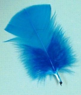   PLUMAGE Feathers 2 5 TURQUOISE; Crafts/Art/School/Bridal/Costume