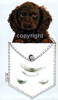 american water spaniel pup in a pocket t shirt small