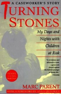 Turning Stones My Days and Nights with Children at Risk A Caseworkers 
