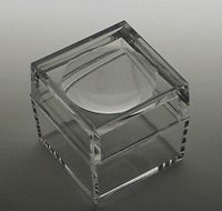 acrylic box with 3x magnifier cover bug box set of