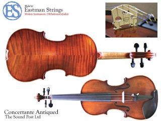 Eastman Intermediate 3/4 Size Violin, Concertante Antiqued