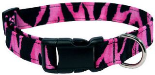 pink zebra designer dog collar more options collar size time