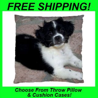 Border Collie Puppy Dog  Throw Pillow Case or Cushion Case/Cover 