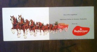 Vintage 1960s Budweiser Clydesdale Horse Pulled Wagon Advertising 