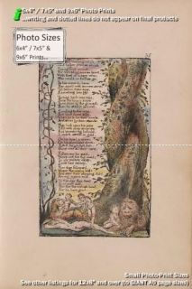 Photo Print Reproduction Songs Of Innocence & Of Experience Plate 35 