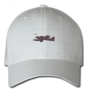 LOW WING AIRPLANE AIRCRAFT SPORTS SPORT EMBROIDERED EMBROIDERY HAT CAP