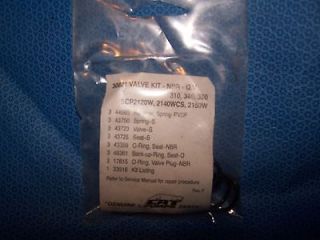 valve kit for cat pressure washer pump part 30821 time