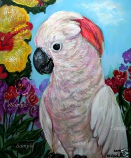 moluccan cockatoo giclee of painting parrot kasheta art time left