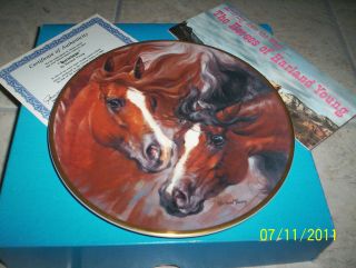 THE HORSES by HARLAND YOUNG ,1982 LE COLLECTORS PLATE   QUARTERHORSES 