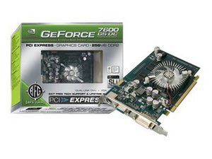   256 MB DDR2 SDRAM PCI Express x16 Graphics adapter