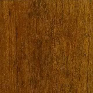 Molding Transition for Armstrong Grand Illusions Wood Laminate 
