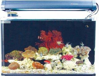 20 Gallon Acrylic Aquarium w Power Compact Light Refu
