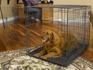 Midwest 42 Select Triple Door Dog Cage Crate 1342TD