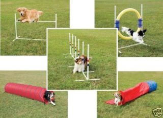 PetSafe Dog Agility Equipment Set Tunnels Poles Jumps